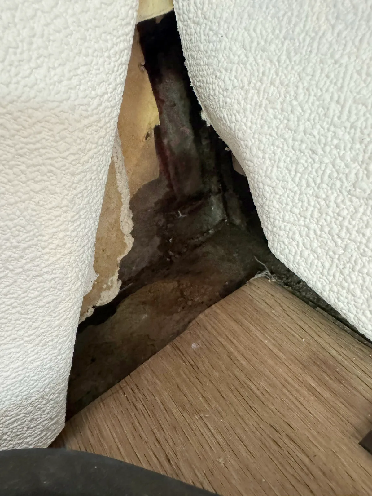 壁紙をめくると下地まで濡れていた室内の壁